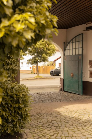 Offene Torführung mit grünem Tor, umgeben von Pflanzen und gepflastertem Weg.